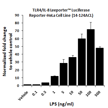 Lipopolysaccharide-LPS from Ecoli 0111:B4, TLR4 ligand