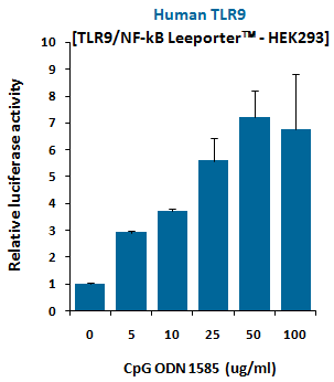 CpG ODN (1585), TLR9 ligand (Class A)