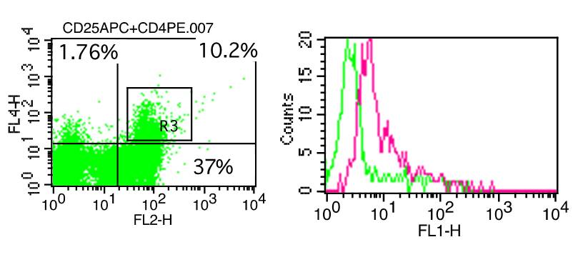 Foxp3/Transcription Factor Staining Kit