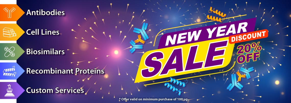 2025-New-Year-Sale-Banner