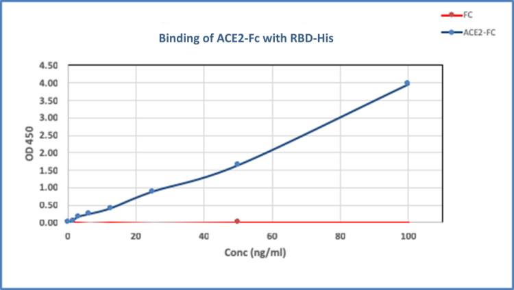 Recombinant Human ACE2 Fc Protein expressed in CHO-K1