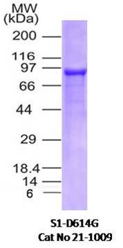 SARS-CoV-2 (2019-nCoV) Spike S1 (D614G) His Tag Protein