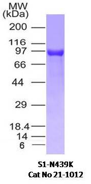 SARS-CoV-2 (2019-nCoV) Spike S1 (N439K) His Tag Protein