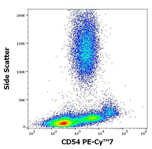 Anti-CD54 / ICAM-1 Monoclonal Antibody (Clone:1H4) PE-Cy™7 conjugated