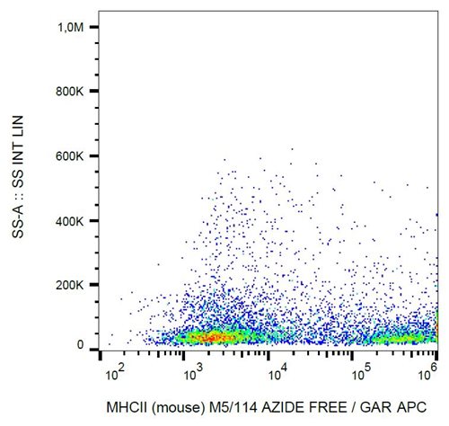 Azide free Anti-MHC Class II Monoclonal Antibody (Clone:M5/114)