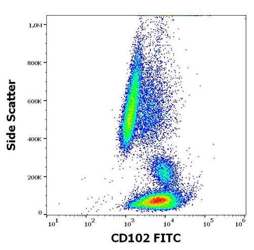 FITC Conjugated Anti-CD102 / ICAM-2 Monoclonal Antibody (Clone:CBR-IC2/2)