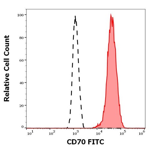 FITC conjugated Anti-CD70 Monoclonal Antibody (Clone:Ki-24)