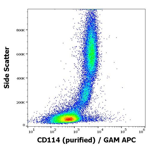 Anti-CD114 / G-CSFR Monoclonal Antibody (Clone:LMM741)