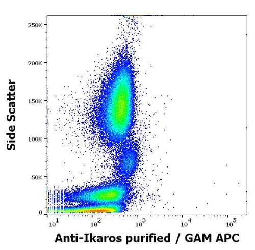 Anti-Ikaros Monoclonal Antibody (Clone:4E9)