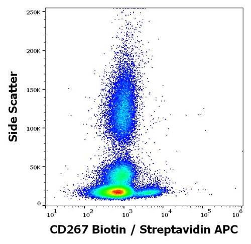 Anti-CD267 / TACI -Biotin Conjugated Monoclonal Antibody (Clone:1A1) Anti-CD267 / TACI -Biotin Conjugated Monoclonal Antibody (Clone:1A1)