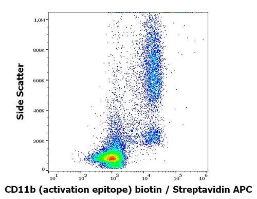 Anti-CD11b activation epitope Biotin Conjugated Monoclonal Antibody (Clone:CBRM1/5)