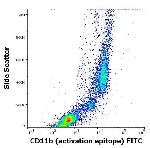FITC-Conjugated Anti-CD11b activation epitope Monoclonal Antibody (Clone:CBRM1/5)
