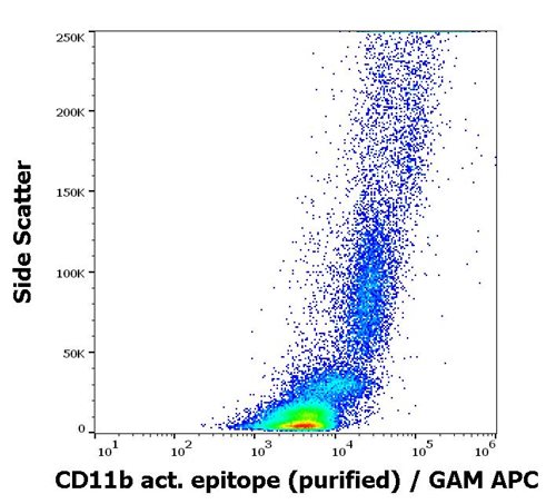 Anti-CD11b activation epitope Monoclonal Antibody (Clone:CBRM1/5)