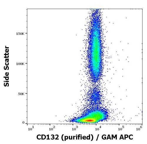 Anti-CD132 Monoclonal Antibody (Clone: TUGh4) Purified