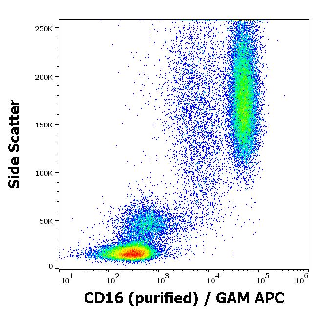 Anti-CD16 / FcgammaRIII Monoclonal Antibody (Clone:MEM-154)