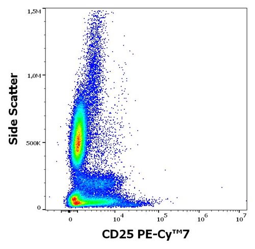 Anti-CD25 / IL-2R alpha chain Monoclonal Antibody (Clone:MEM-181) PE-Cy™7 Conjugated