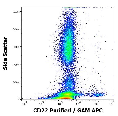 Anti-CD22 Monoclonal Antibody (Clone:MEM-01)