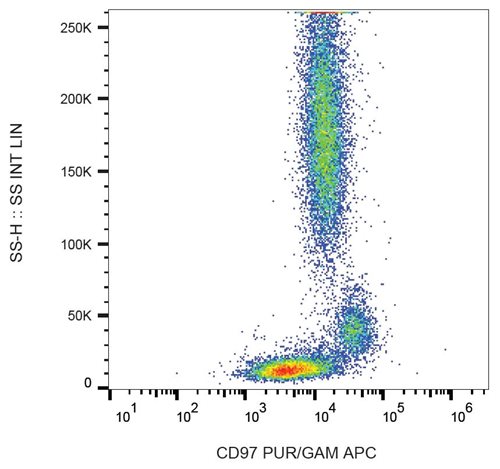 Anti-CD97 Monoclonal Antibody (Clone:MEM-180)