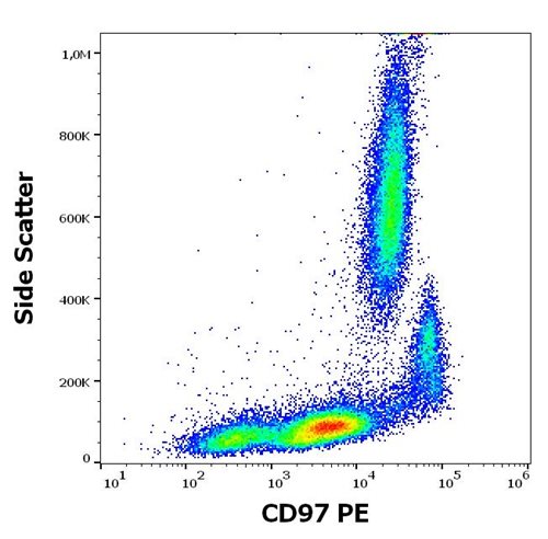 PE Conjugated Anti-CD97 Monoclonal Antibody (Clone:MEM-180)