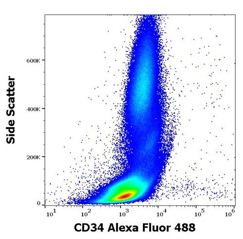 Alexa Fluor 488 Conjugated Anti-CD34 / Mucosialin Monoclonal Antibody (Clone:4H11[APG])