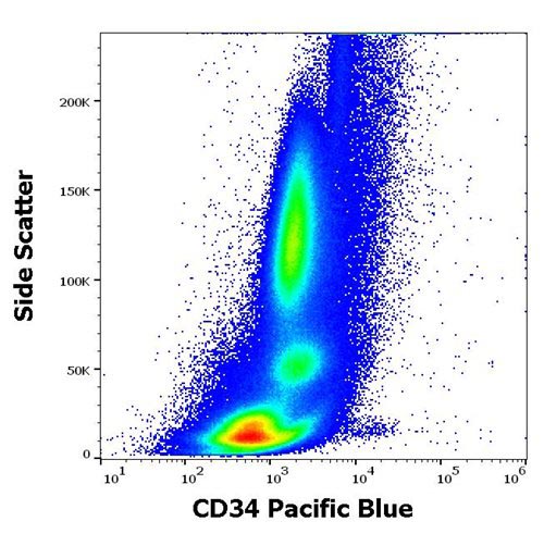 Pacific Blue Conjugated Anti-CD34 / Mucosialin Monoclonal Antibody (Clone:4H11[APG])