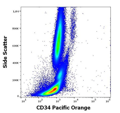 Pacific Orange Conjugated Anti-CD34 / Mucosialin Monoclonal Antibody (Clone:4H11[APG])