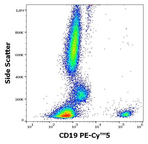 Anti-CD19 Monoclonal Antibody (Clone:LT19)-PE-Cy5 Conjugated Anti-CD19 Monoclonal Antibody (Clone:LT19)-PE-Cy5 Conjugated