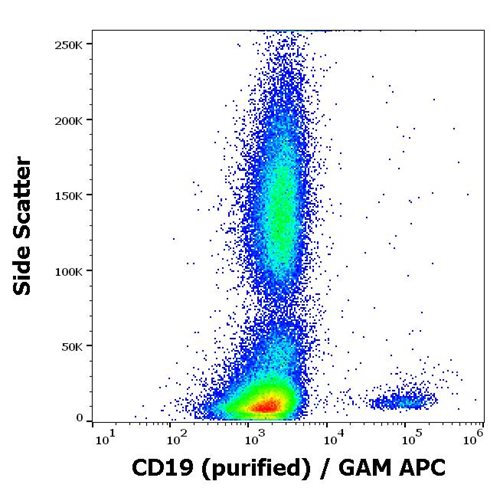 Anti-CD19 Monoclonal Antibody (Clone:LT19)