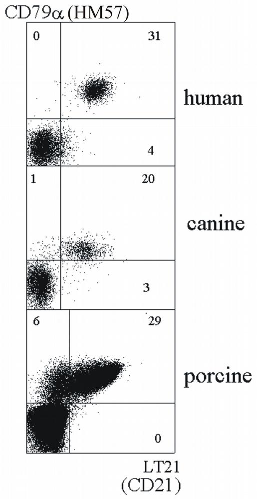 Anti-CD21 Monoclonal Antibody (Clone:LT21)