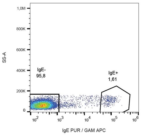 Anti-IgE Monoclonal Antibody (Clone:BE5)