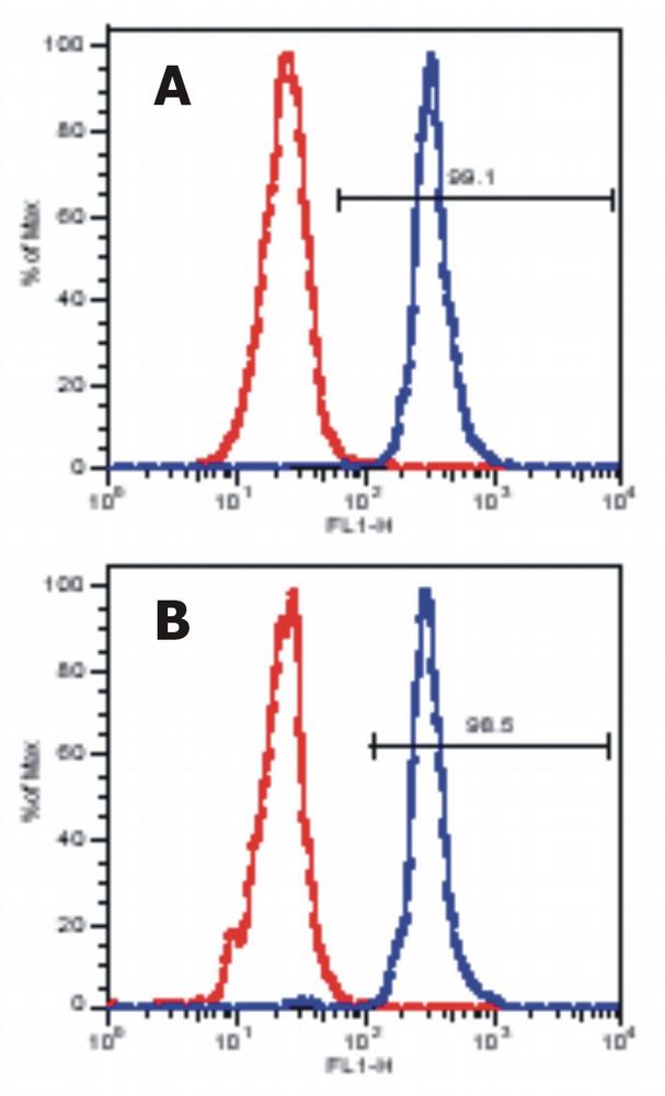 Anti-LAT Monoclonal Antibody (Clone:LAT-01)