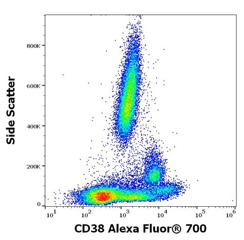 Anti-CD38 Monoclonal Antibody (Clone:HIT2) Alexa Fluor® 700