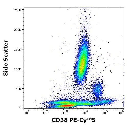 Anti-CD38 Monoclonal Antibody (Clone:HIT2) PE-Cy™5