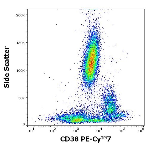 Anti-CD38 Monoclonal Antibody (Clone:HIT2) PE-Cy™7