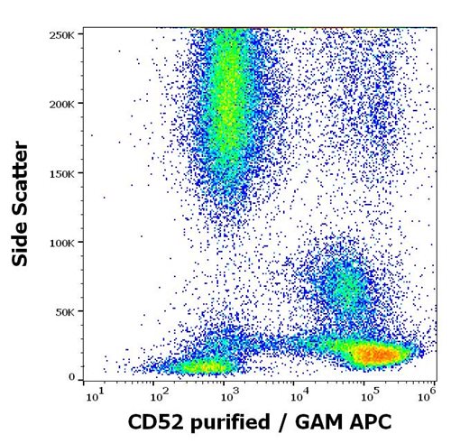 Anti-CD52 / CAMPATH-1 Monoclonal Antibody (Clone:HI186)