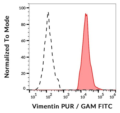 Anti-Vimentin Monoclonal Antibody (Clone:VI-RE/1)