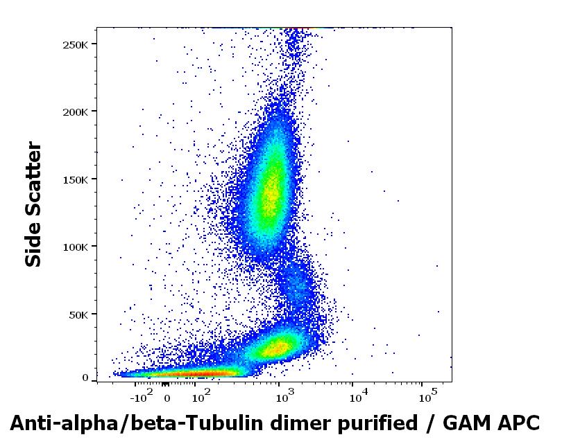 Anti-alpha, beta-tubulin dimer Monoclonal Antibody (Clone:TU-10)