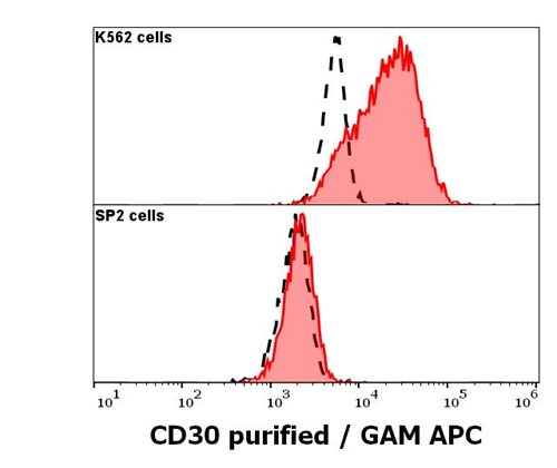 Anti-CD30 / Ki-1 Monoclonal Antibody (Clone:MEM-268)