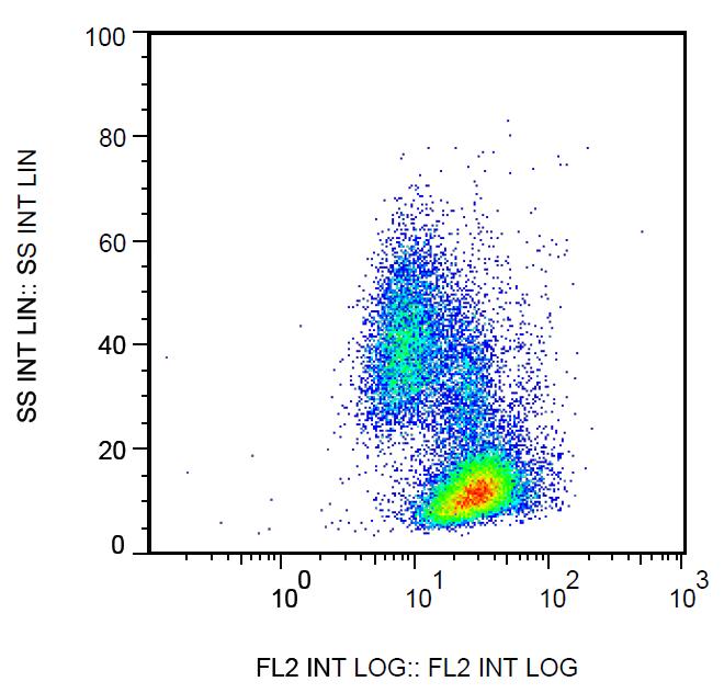 Anti-beta2-Microglobulin Monoclonal Antibody (Clone:B2M-02)