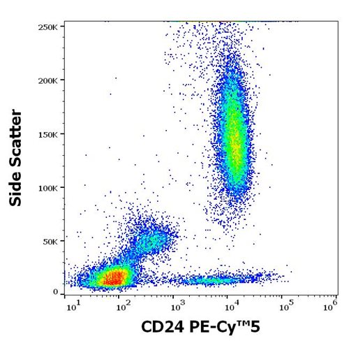 Anti-CD24 Monoclonal Antibody (Clone:SN3) PE-Cy™5 conjugated