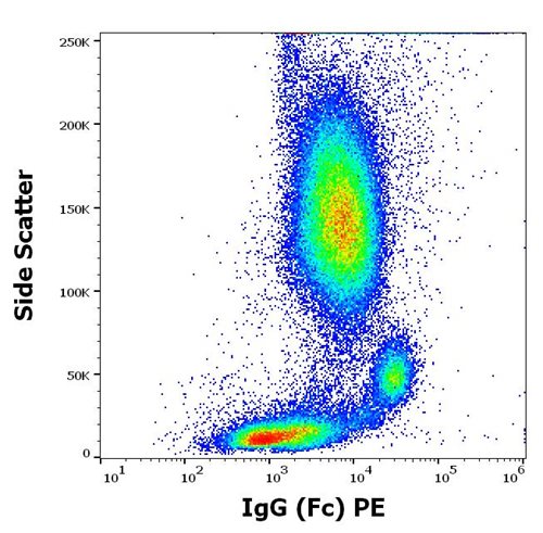 PE Conjugated Anti-Human IgG (Fc) Monoclonal Antibody (Clone: EM-07)