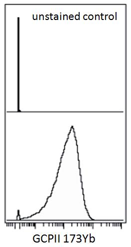 Anti-GCPII / PSMA Monoclonal Antibody (Clone:GCP-05)