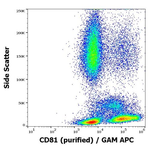 Anti-CD81 Monoclonal Antibody (Clone:M38)