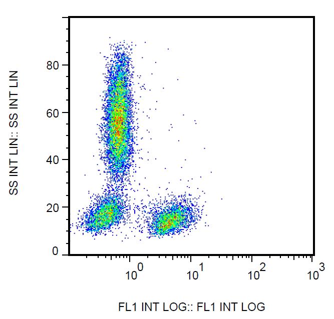 Anti-CD28 Monoclonal Antibody (Clone:CD28.2)