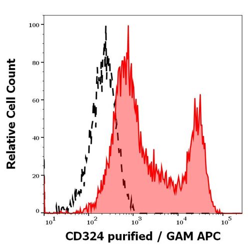 Anti-CD324 / E-Cadherin Monoclonal Antibody (Clone:67A4)