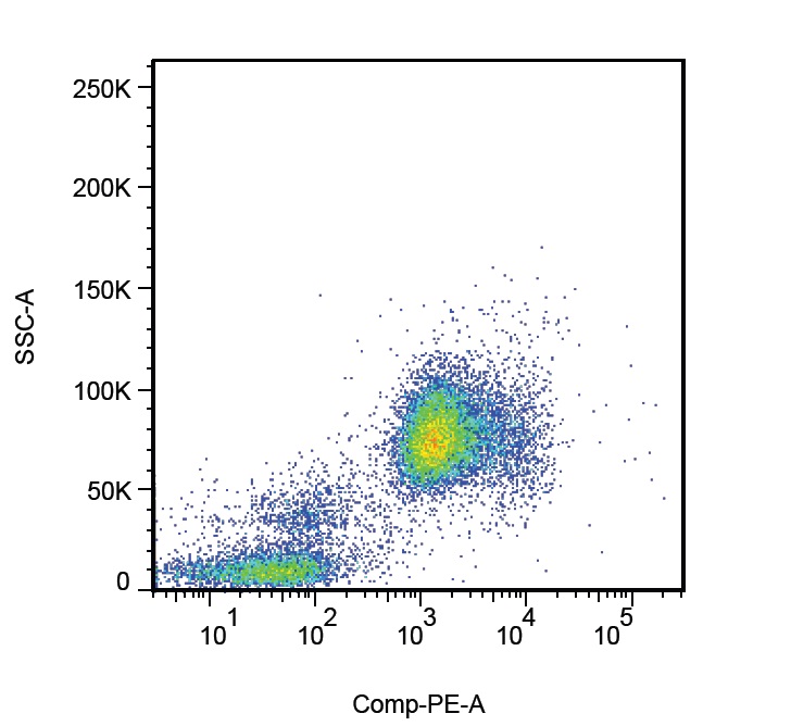 Anti-CD66acde Monoclonal Antibody (Clone:CLB-gran/10)(Discontinued)