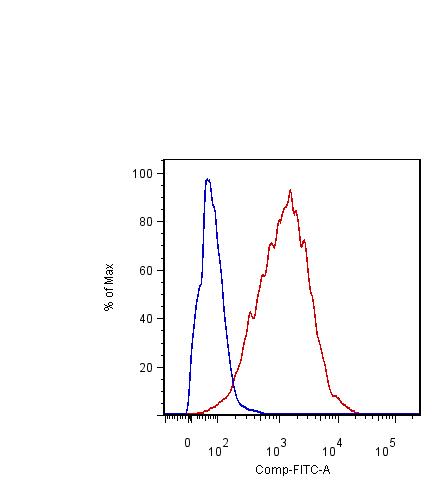 Anti-CD54 Monoclonal Antibody (Clone:YN1/1.7.4)(Discontinued)