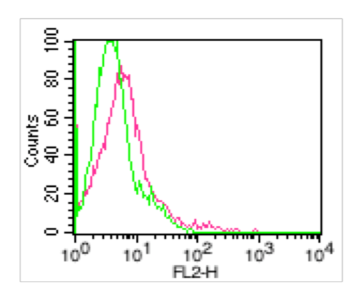 Anti-CD80 Monoclonal Antibody (Clone:16-10A1)