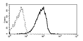 Anti-CD361 Monoclonal Antibody (Clone:MEM-216)