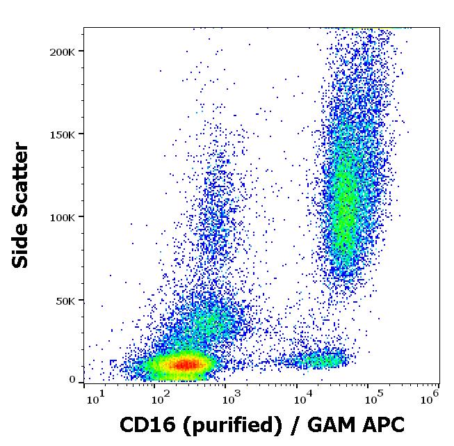 Anti-CD16 / FcgammaRIII Monoclonal Antibody (Clone:3G8)